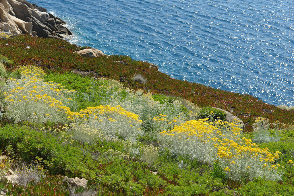 2010-06-05_16-00-41_Matteo