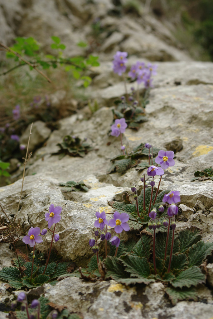 2010-05-02_12-46-37_Matteo