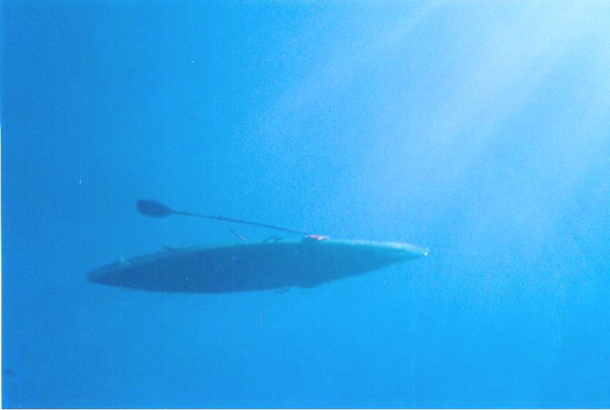 Looking up from the Big Blue