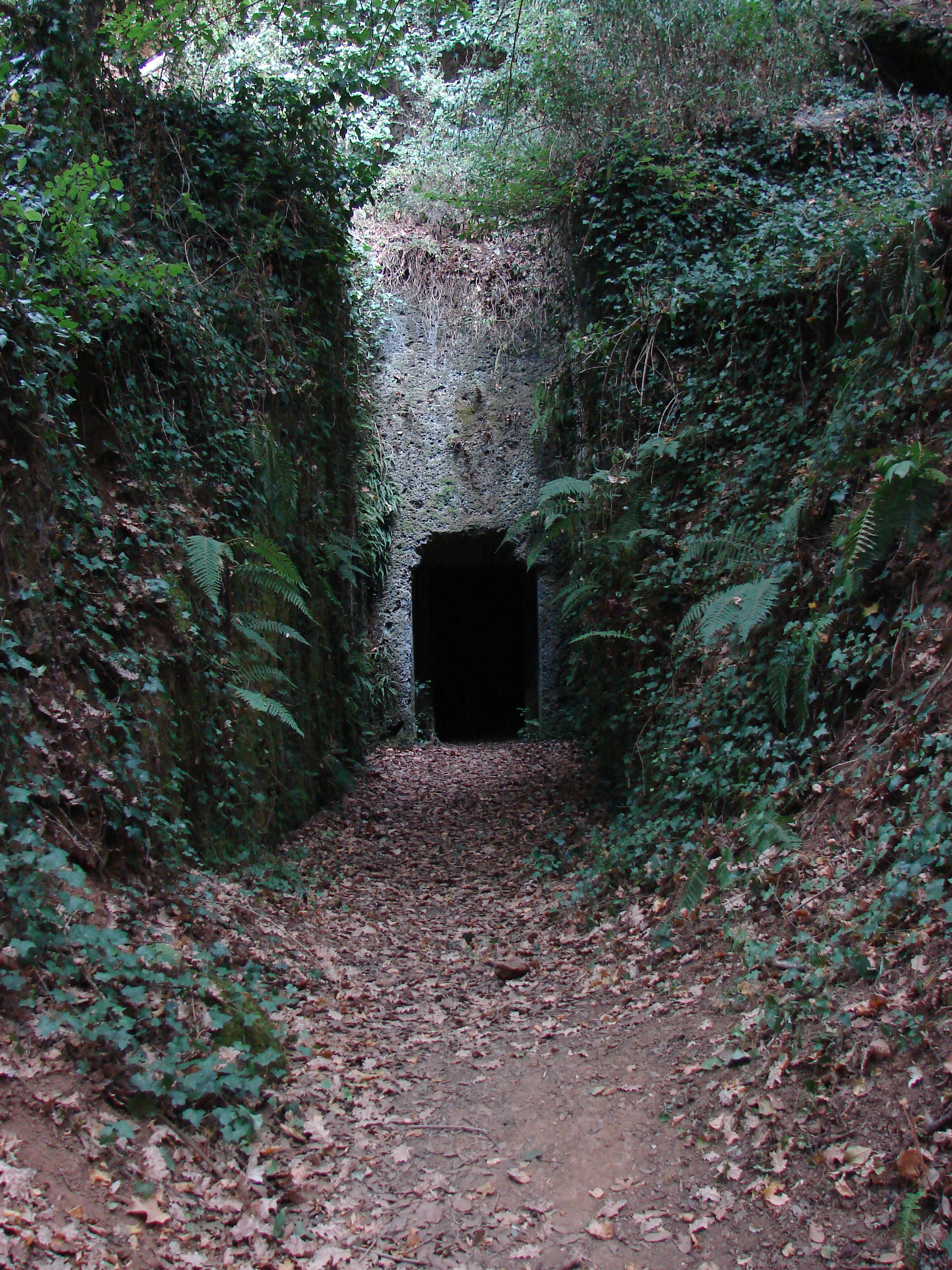 porta spazio temporale