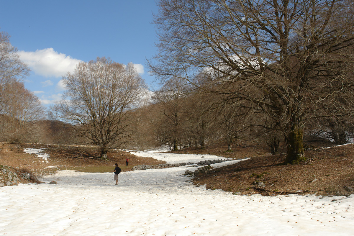 2011-04-02_14-29-36_Matteo