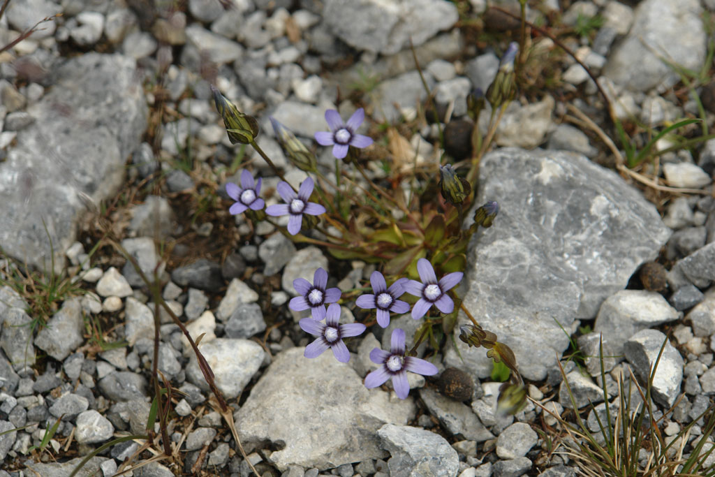 2009-08-06_14-39-46_Matteo