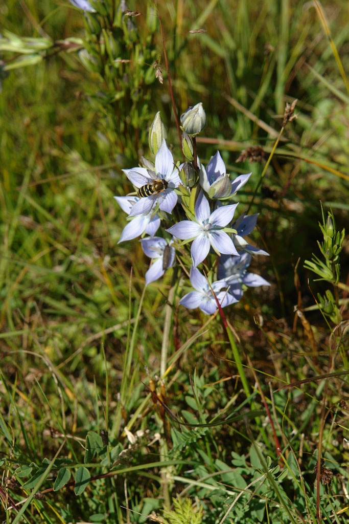 2009-08-10_10-22-48_Matteo