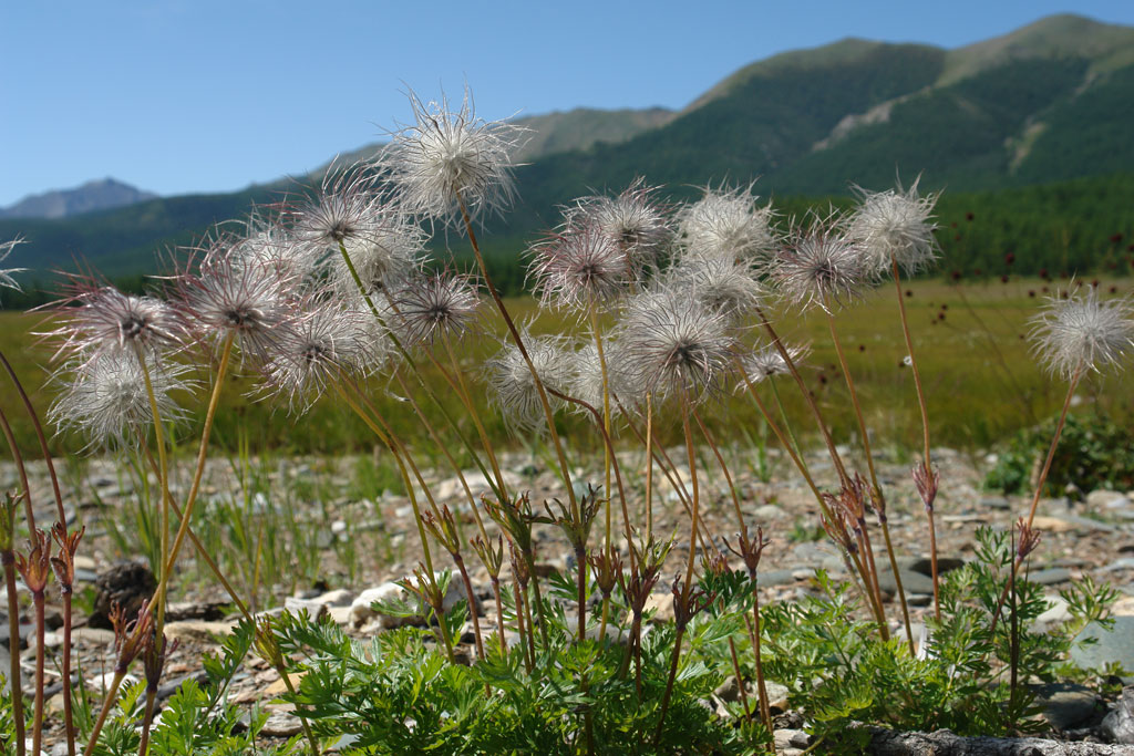 2009-08-10_12-43-13_Matteo