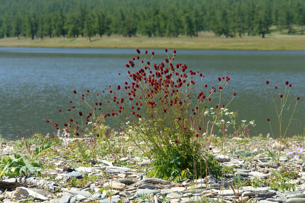 2009-08-10_12-54-59_Matteo