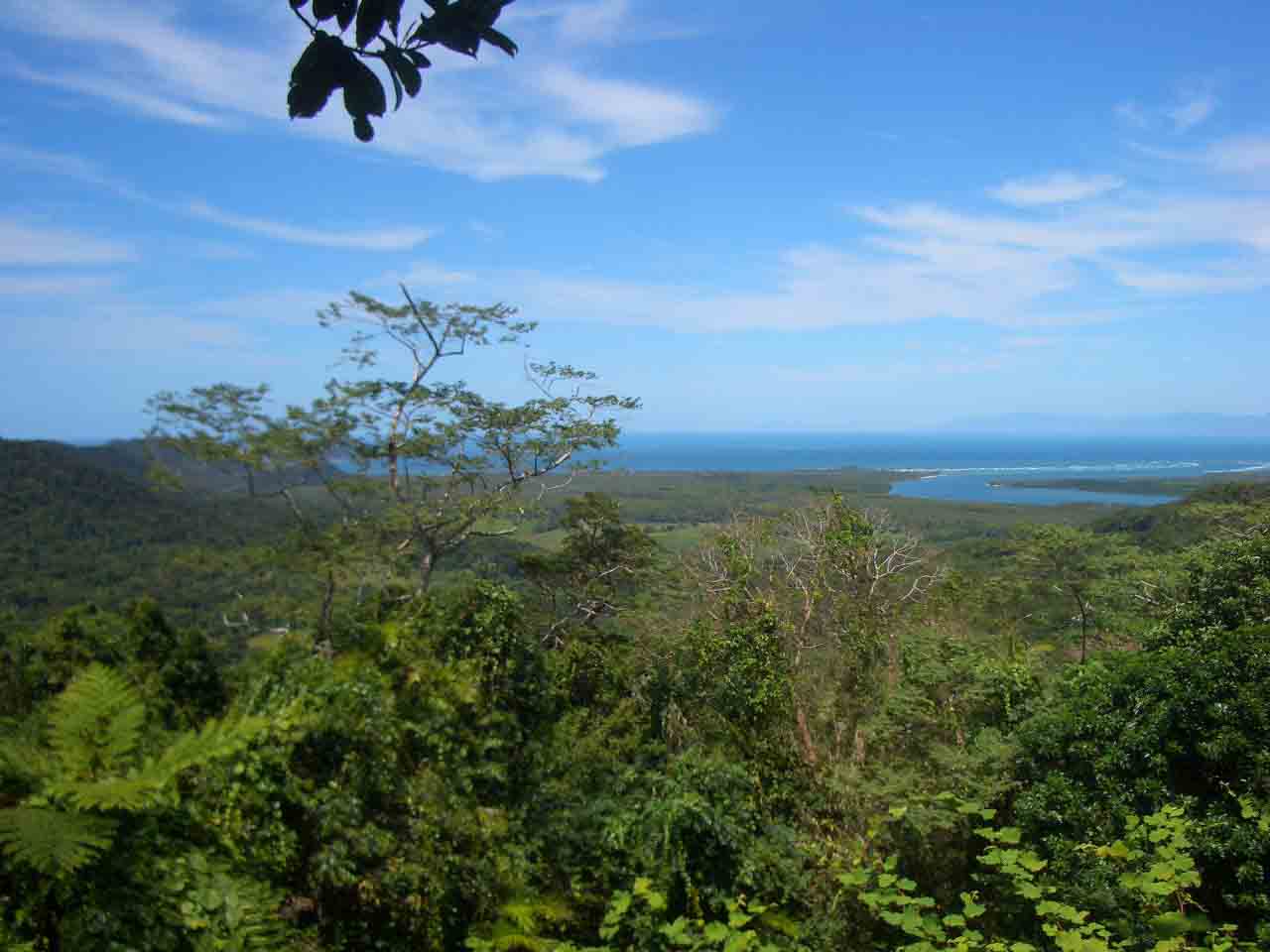 cape tribulation_a quanto pare i guai sono cominciati qui per Cook