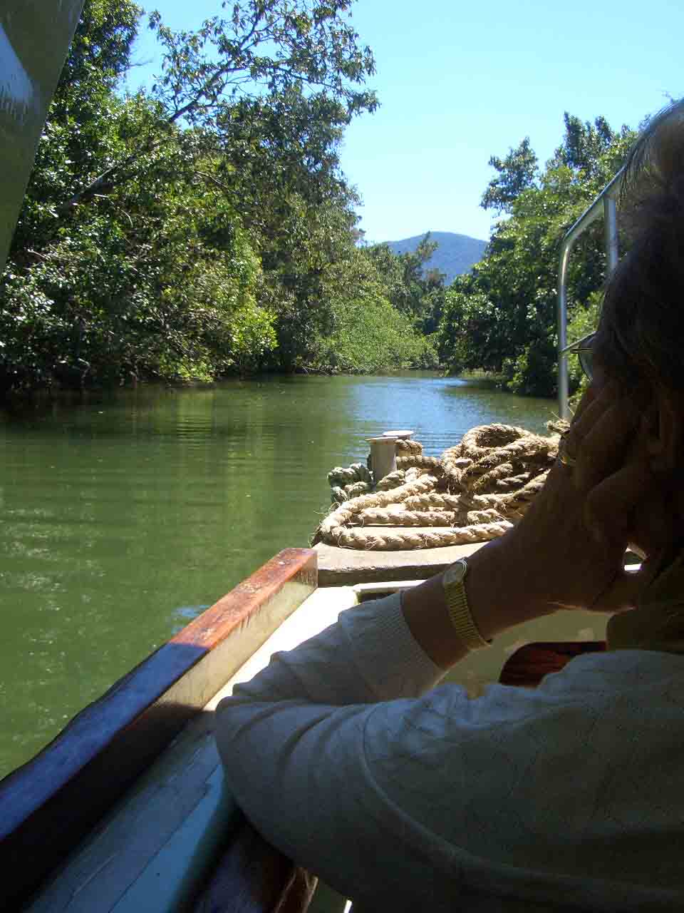 river_il gomito della mmma ha un suo fascino, non siamo sul cono, ma sempre a cape tribulation