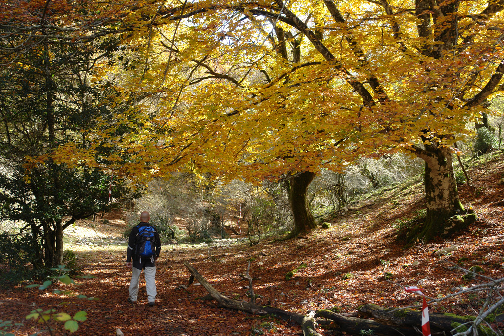 2010-10-30_12-23-19_Matteo