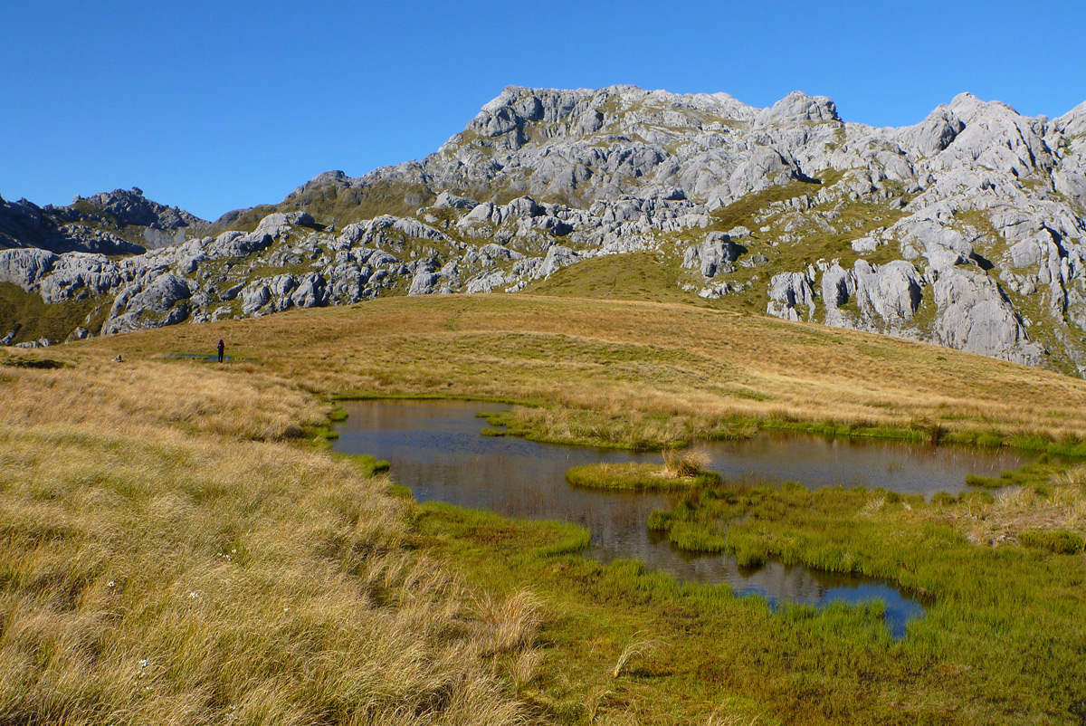 2013-02-06_09-33-09_Matteo