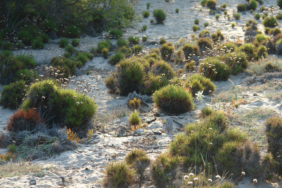 2011-08-06_06-56-13_Matteo