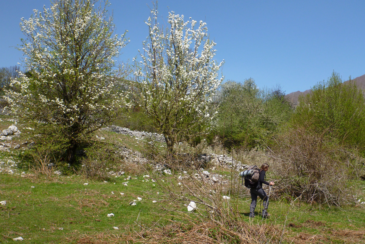 2012-04-28_22-32-21_Matteo