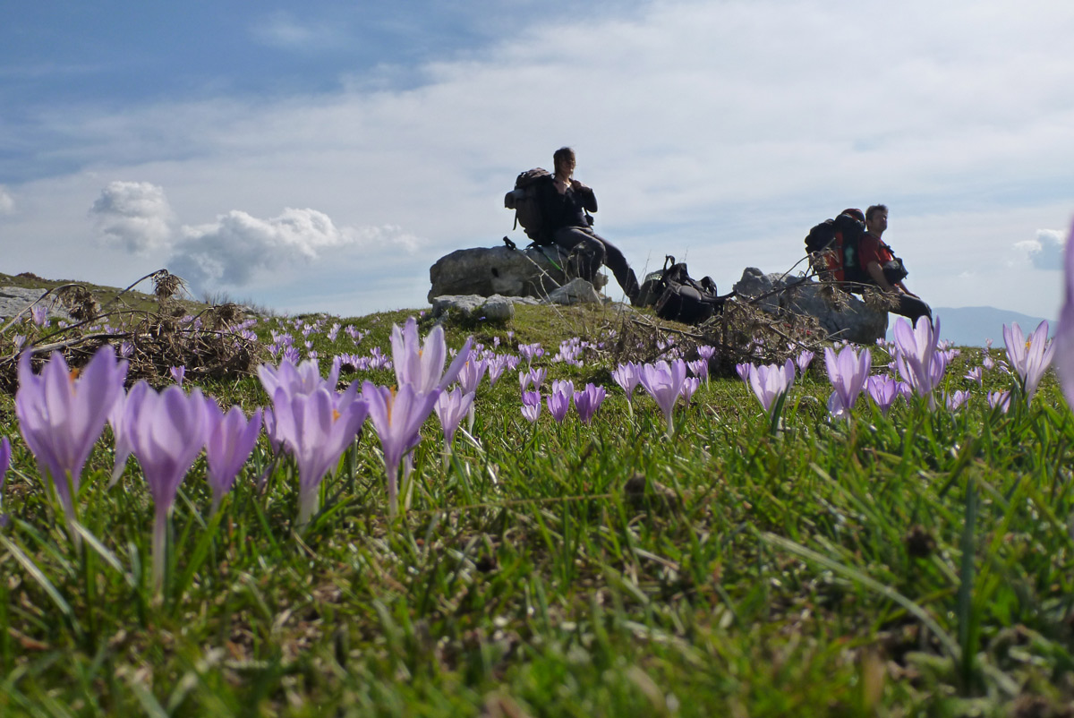 2012-04-29_01-47-59_Matteo