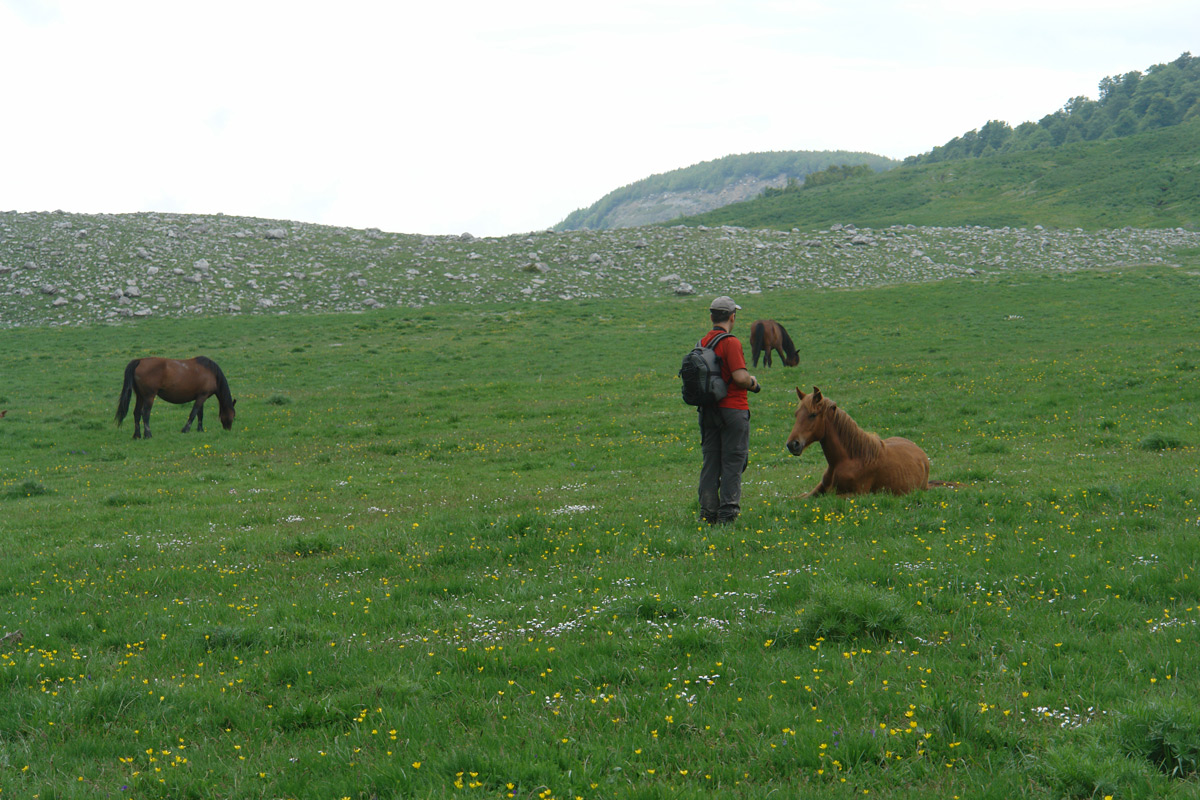 2011-06-02_13-18-18_Matteo