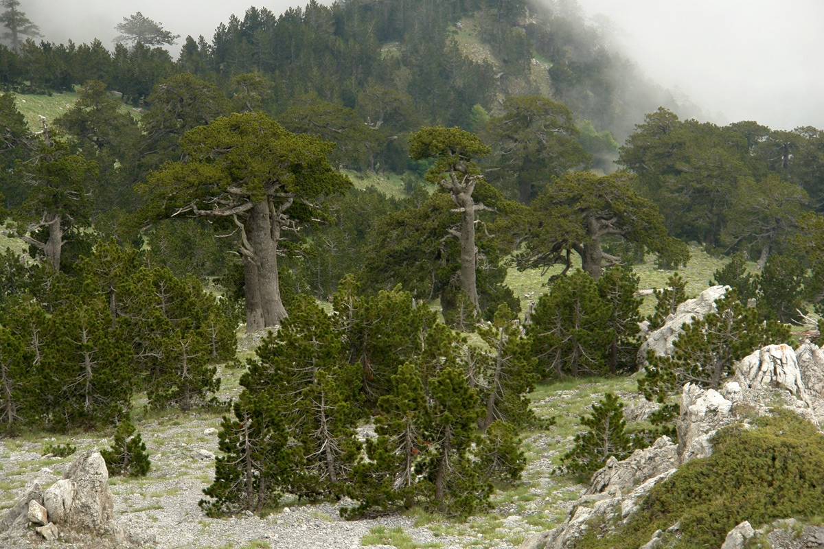 2011-06-03_12-57-48_Matteo