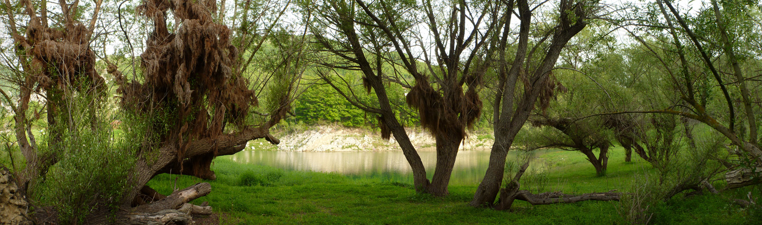 2012-05-20_08-01-11_Matteo-PAN