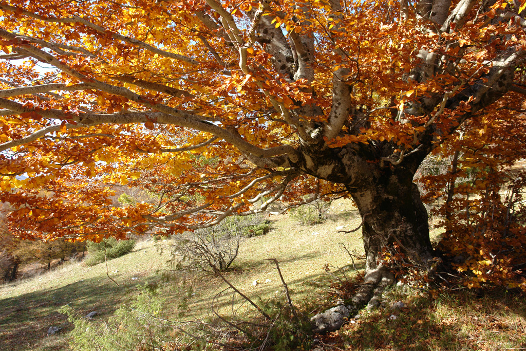 2010-11-06_14-46-05_Matteo