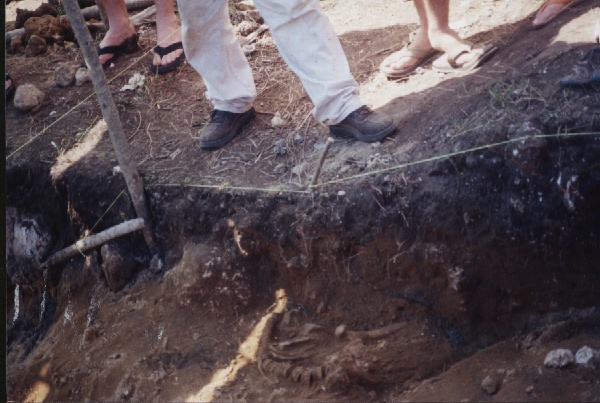 3000 year Lapita remains at Teouma