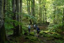 In Romania: trekking sui Mmnti Retezat