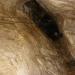 2010-01-04_11-14-09_Daniela