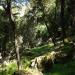 2007-05-12_14-58-09_[Matteo]