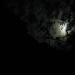 lunarami