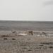 2007-09-04_09-08-32_[Fiamma]
