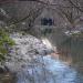 2007-03-04_12-42-53_[Maurilio]