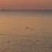 2006-09-13_18-52-14_[Matteo]