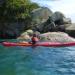 2011-02-04_12-01-59_Macaco