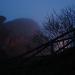 2009-01-02_17-57-41_Silvia