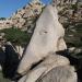 nasone