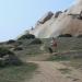PIC01754
