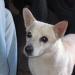 PIC01757