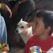 PIC01762