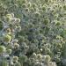 2005-07-30_08-28-28-[Matteo
