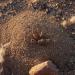 2007-08-29_18-12-38_[Fiamma]