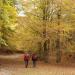 2007-10-20_11-02-46_[Matteo]