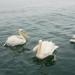 2007-09-01_10-19-26_[Fiamma]
