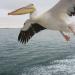 2007-09-01_10-20-02_[Fiamma]