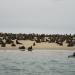 2007-09-01_10-43-04_[Fiamma]