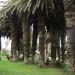 2007-09-02_10-00-50_[Fiamma]