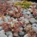 2007-09-02_10-17-06_[Fiamma]
