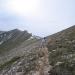 2011-04-23_17-03-12_Miao