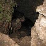 2010-01-02_16-37-11_David
