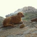 PIC02579