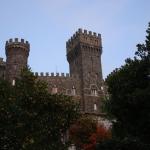 2008-10-19_17-30-39_Matteo