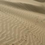 2011-01-14_09-37-38_Matteo