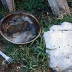 2008-10-12_07-35-02_Matteo