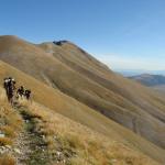 2008-10-12_15-46-54_Matteo