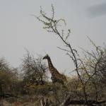 2007-09-03_14-59-42_[Fiamma]